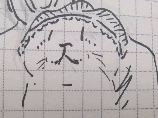 流泪猫猫头