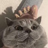 王先森wzq的头像