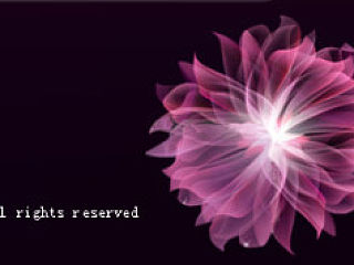 网页设计（web）