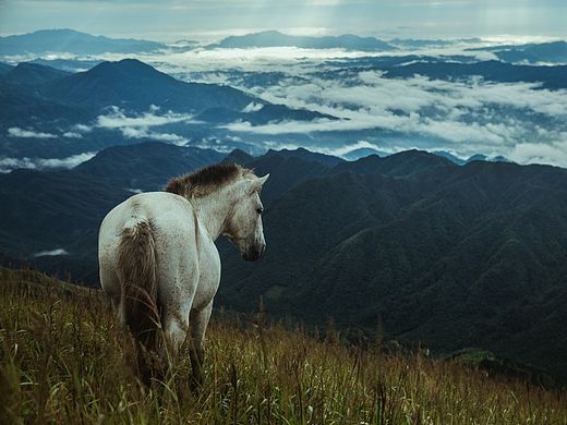 【武功山·见风光】