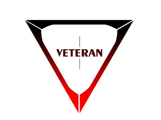 老干部-Veteran Logo