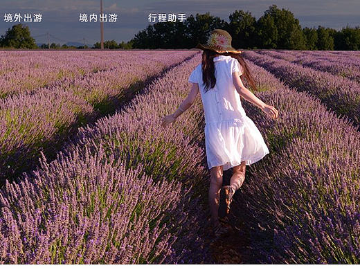 游客网（个人主页-ZMjE3NTAwNjg=） - 企业官网 - 站酷设计师微子小杜原创素材 - 站酷ZCOOL