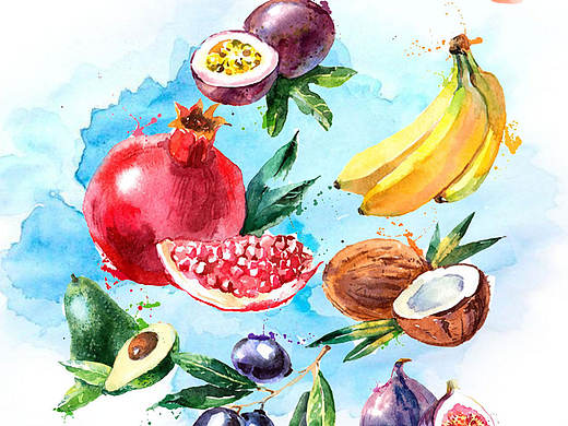 Fruit season activity page