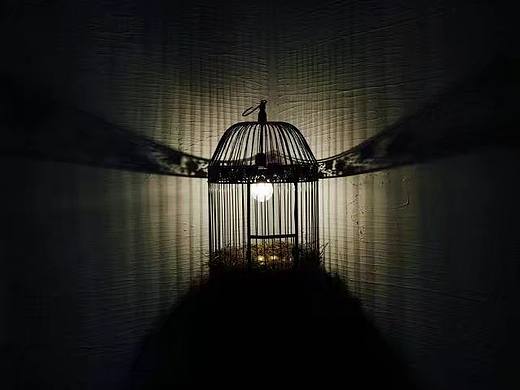 《温室》（个人主页-ZMzM5OTAyNDg=） - 雕塑 - 站酷设计师maolan原创素材 - 站酷ZCOOL