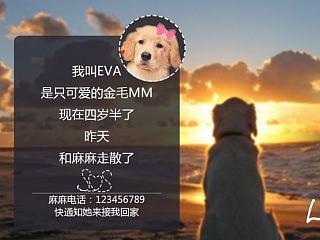 快来接我回家