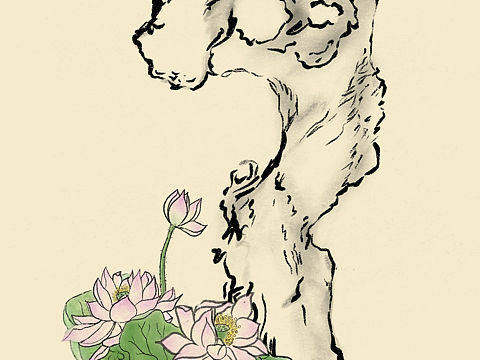 蓮（個人主頁-ZMzc1MzQzNzY=） - 商業(yè)插畫 - 站酷設計師東子于原創(chuàng)素材 - 站酷ZCOOL