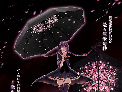 雨伞详情