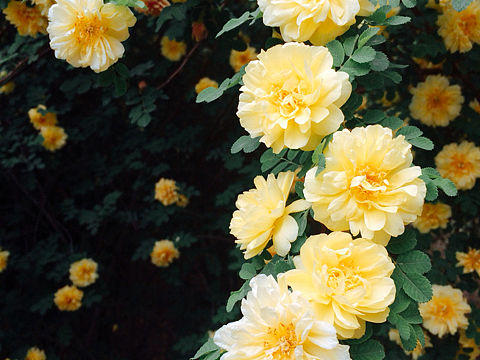 随手拍（个人主页-ZMTYxMjAwOTY=） - 风光摄影 - 站酷设计师柚子MKJ原创素材 - 站酷ZCOOL