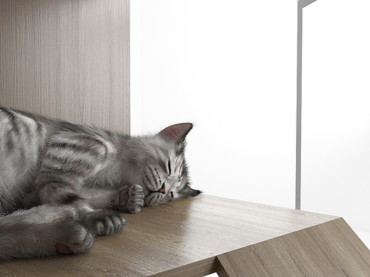 猫屋设计（个人主页-ZNTk1NDAwMjQ=） - 其他工业/产品 - 站酷设计师慧设方圆原创素材 - 站酷ZCOOL