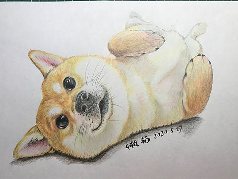 彩铅