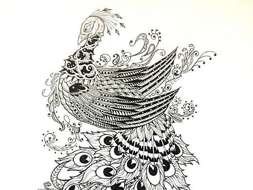 针管笔-《孔雀》（个人主页-ZMTM1MTkyNjg=） - 绘画 - 站酷设计师Madeon原创素材 - 站酷ZCOOL