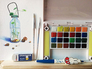 水彩练习-铜钱草