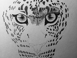 一幅画的流程图