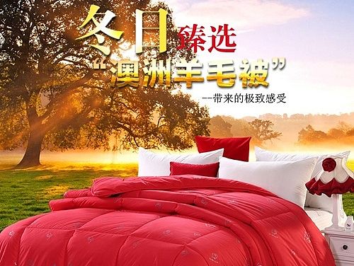 冬日寒保暖棉被子 被芯 家纺详情 家纺页面设计 原创作品 淘宝海报 天猫海报 网页设计
