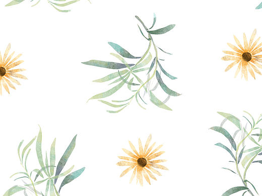 插画 每日一图 ps 花卉壁纸