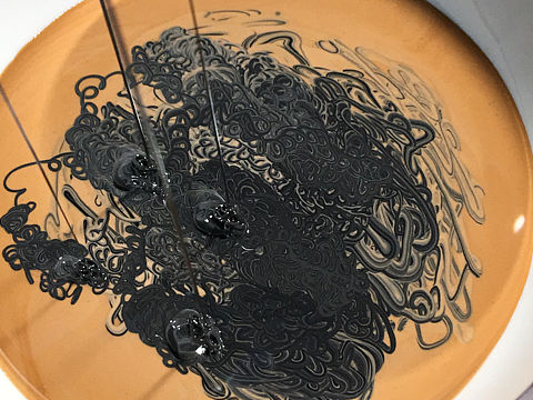 大漆 漆器在生活中的点点滴滴