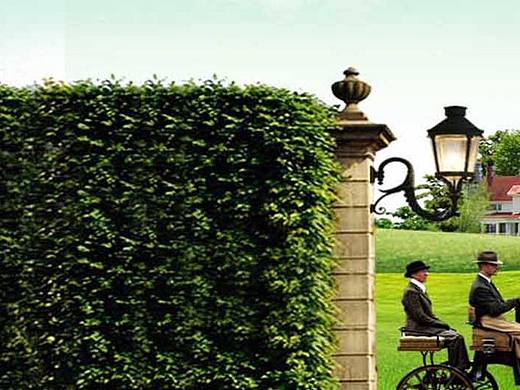 网页设计及代码