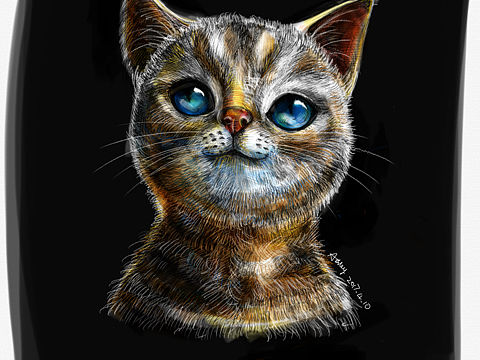 水果家 iPad Pro 中的备忘录画的萌猫一枚