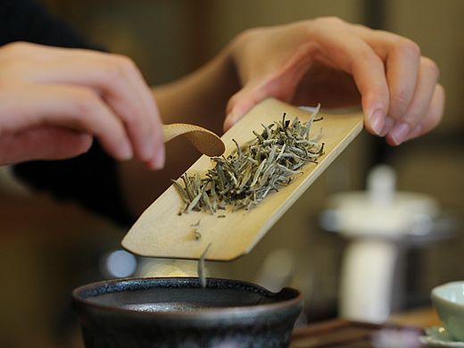 泡茶