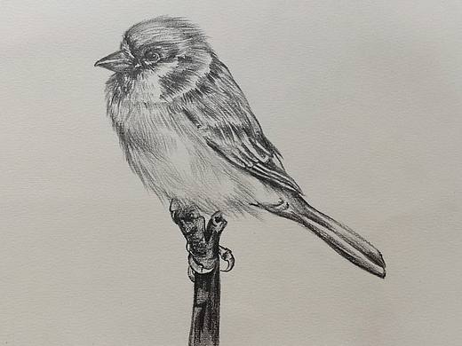 期末總結(jié)（個人主頁-ZNTcyMzE1NTY=） - 其他 - 站酷設(shè)計師羅維依依原創(chuàng)素材 - 站酷ZCOOL