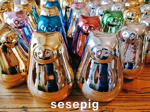 五颜六色的sesepig