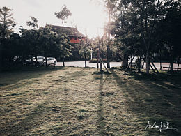 【手機攝影】偷影子的人