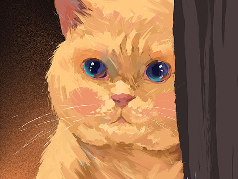 猫咪（个人主页-ZNTE3NTEyMzY=） - 创作习作 - 站酷设计师贩卖胖橘原创素材 - 站酷ZCOOL