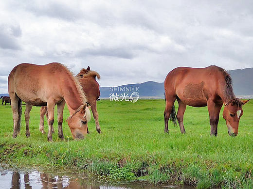 我多想,和时光一样潇洒的离开。