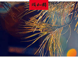 颐和园冬日写景（个人主页-ZMTI1ODE4OA==） - 风光摄影 - 站酷设计师偶家原创素材 - 站酷ZCOOL