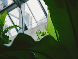 冬天再长,春天终归要来。