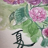 猫筱筱的头像