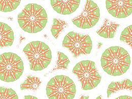 鄂温克民族的太阳花