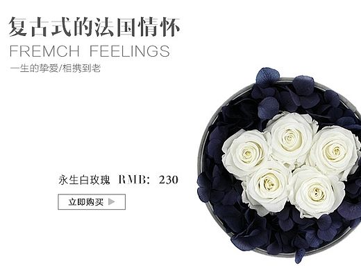 重生“永生花”（個(gè)人主頁(yè)-ZMTMyMDcyNzY=） - 電商 - 站酷設(shè)計(jì)師豆花草粿原創(chuàng)素材 - 站酷ZCOOL