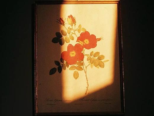 整形图片（个人主页-ZMjEwODk3MDQ=） - 宣传物料 - 站酷设计师无敌小侠原创素材 - 站酷ZCOOL