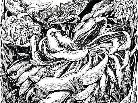 風(fēng)與花（個(gè)人主頁(yè)-ZMzMxMDcwODQ=） - 創(chuàng)作習(xí)作 - 站酷設(shè)計(jì)師二月初壹原創(chuàng)素材 - 站酷ZCOOL