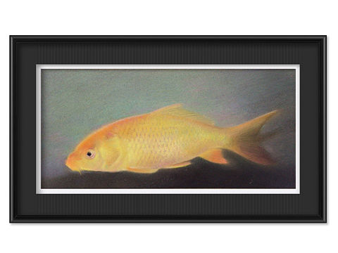 一条金鲤鱼（个人主页-ZMzEzMTUxNjQ=） - 创作习作 - 站酷设计师画画的小石头原创素材 - 站酷ZCOOL