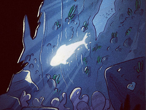 练习:一只鱼。。。