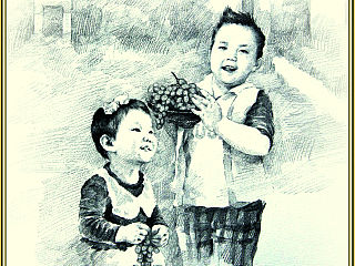 给红酒标签做的一款插画