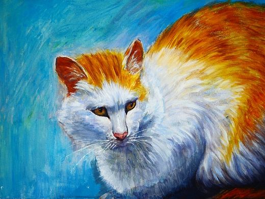 猫