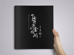 日照建市30周年成就展画册