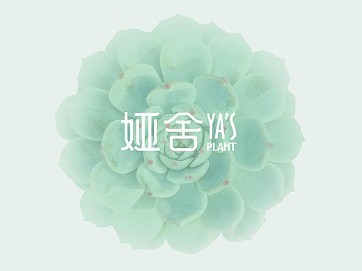 娅舍YA'S PLANT LOGO设计