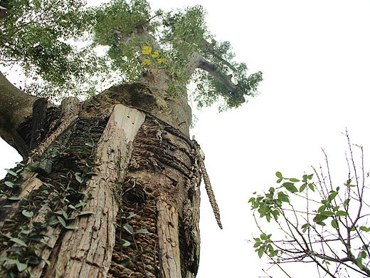 攝影作品選集（個人主頁-ZMTg5NDI1MDA=） - 風光攝影 - 站酷設(shè)計師左手的幽靈原創(chuàng)素材 - 站酷ZCOOL