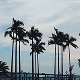 忆柒的头像