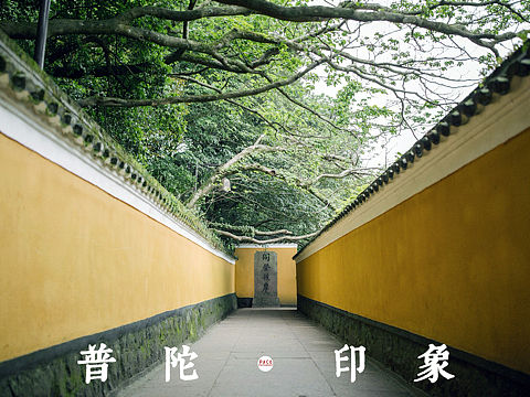 普陀·印象