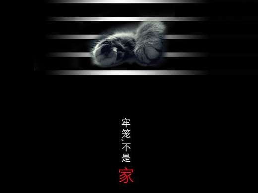 《牢笼不是家》