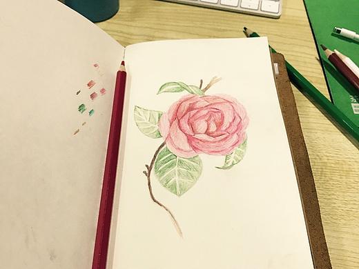 手绘小花（个人主页-ZMjEzNTAxMzI=） - 创作习作 - 站酷设计师Chanson圆圈圈儿原创素材 - 站酷ZCOOL