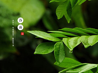 二十四节气