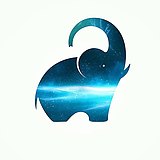 Eureka_y的头像