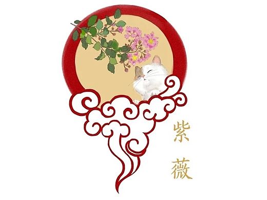 来自网络素材