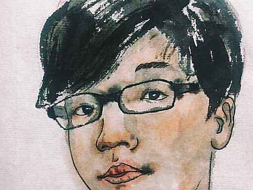 试着也画了一张